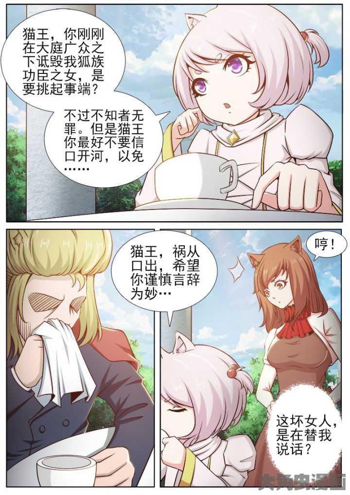 第204章：3