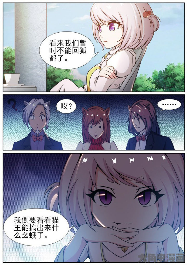 第205章：7