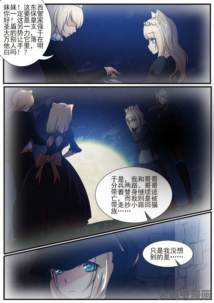 第222章：6