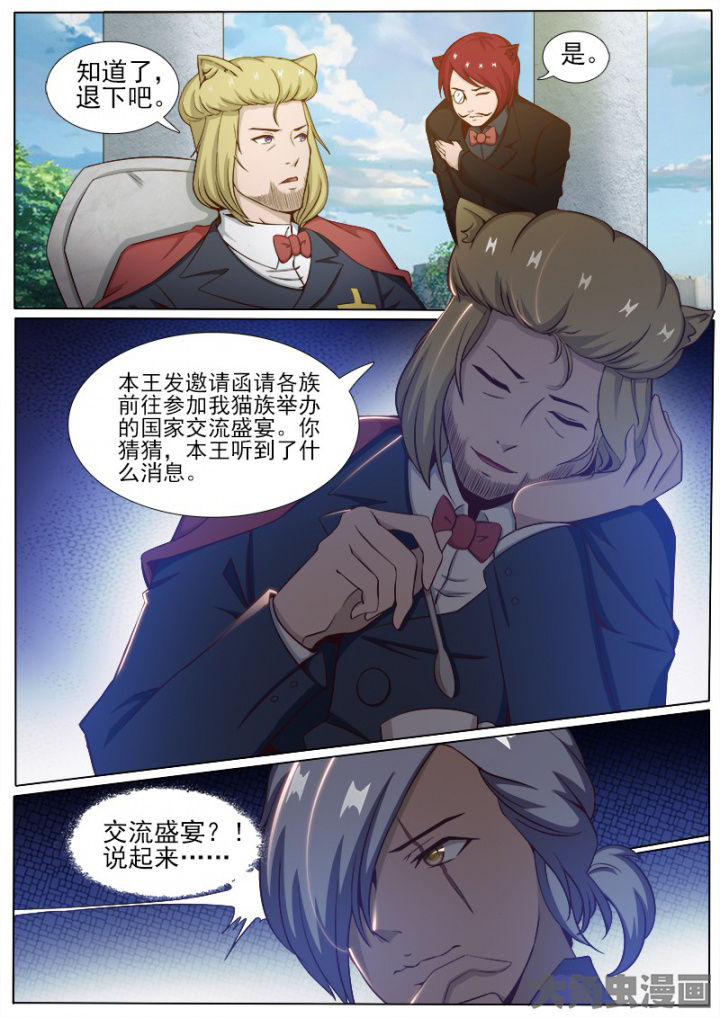 第204章：5