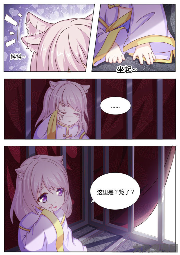 第119章：6