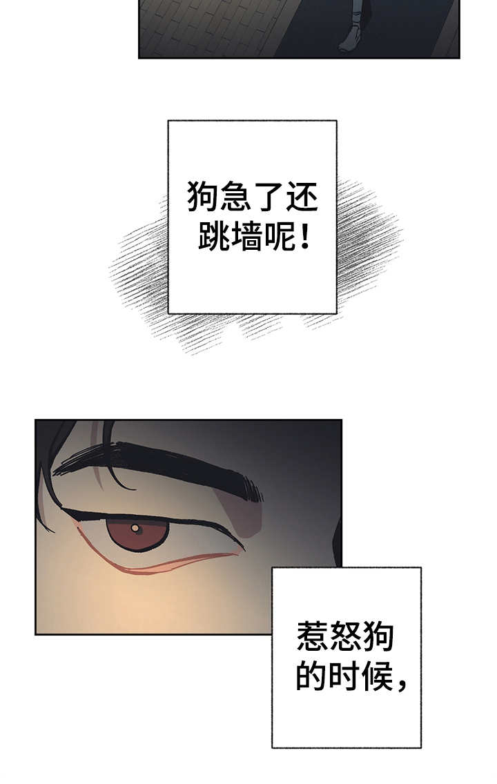 第18章：很好奇5