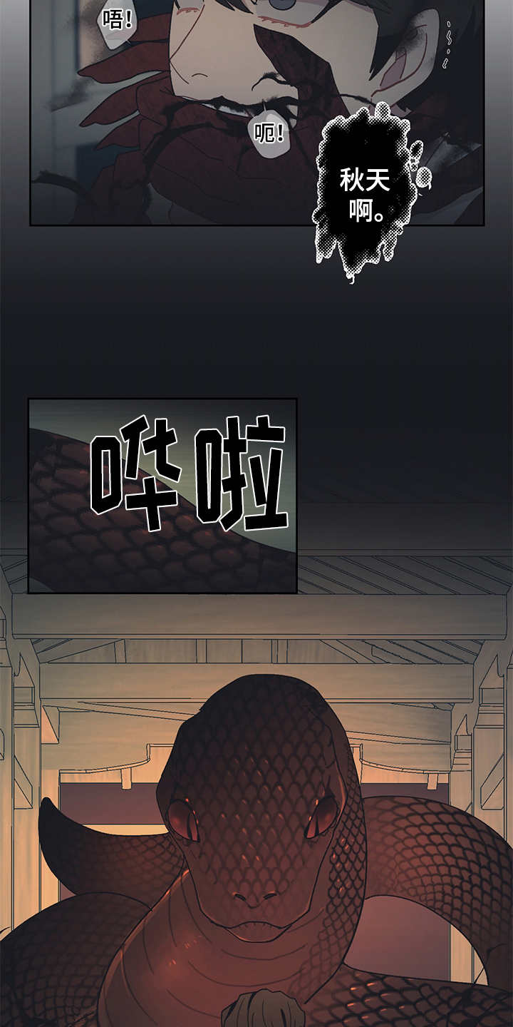 第50章：黑影14