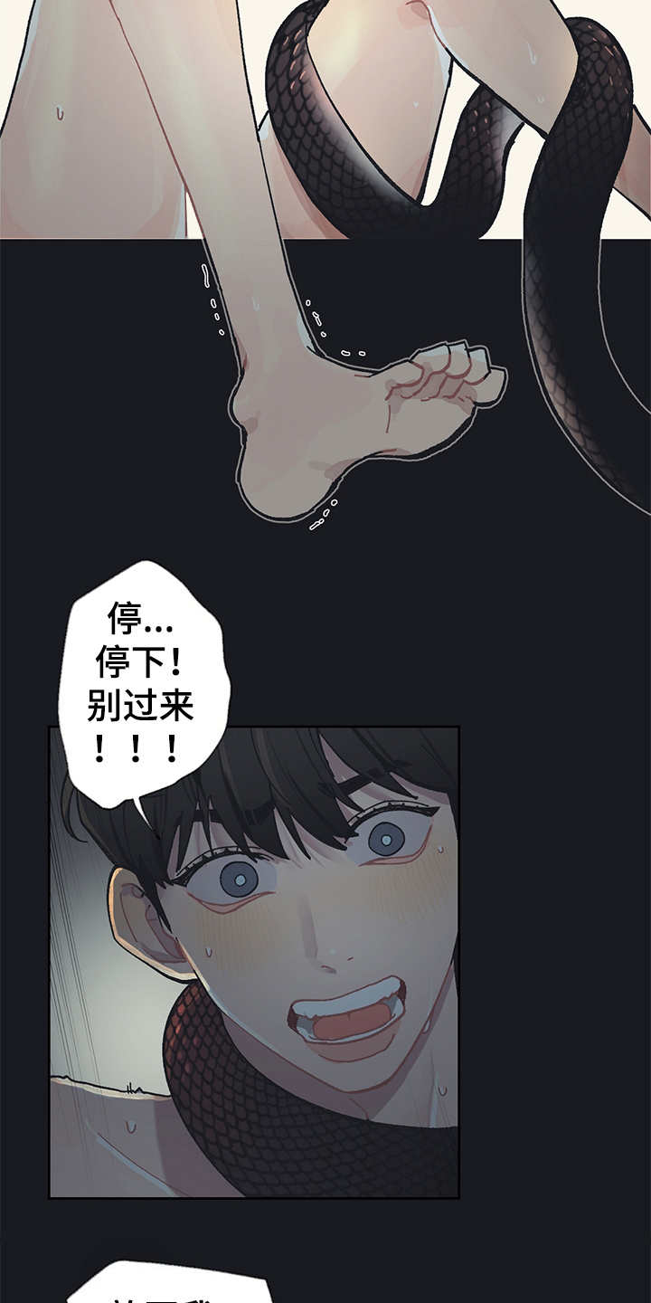 第19章：毒蛇11