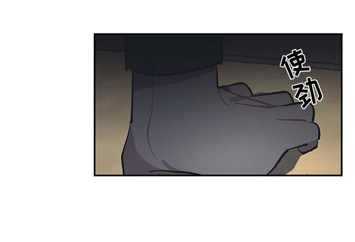 第28章：一群2508
