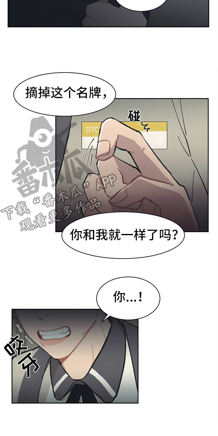 第14章：挑衅6