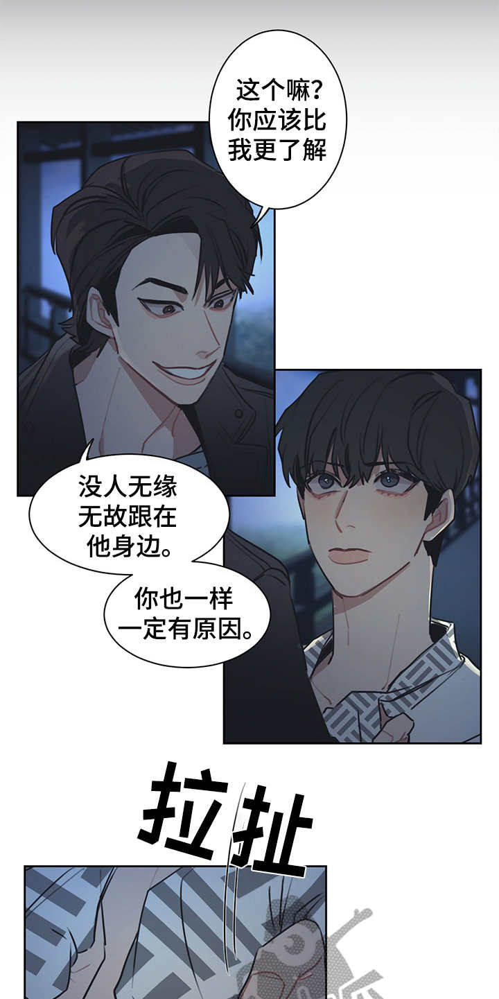 第52章：双胞胎14