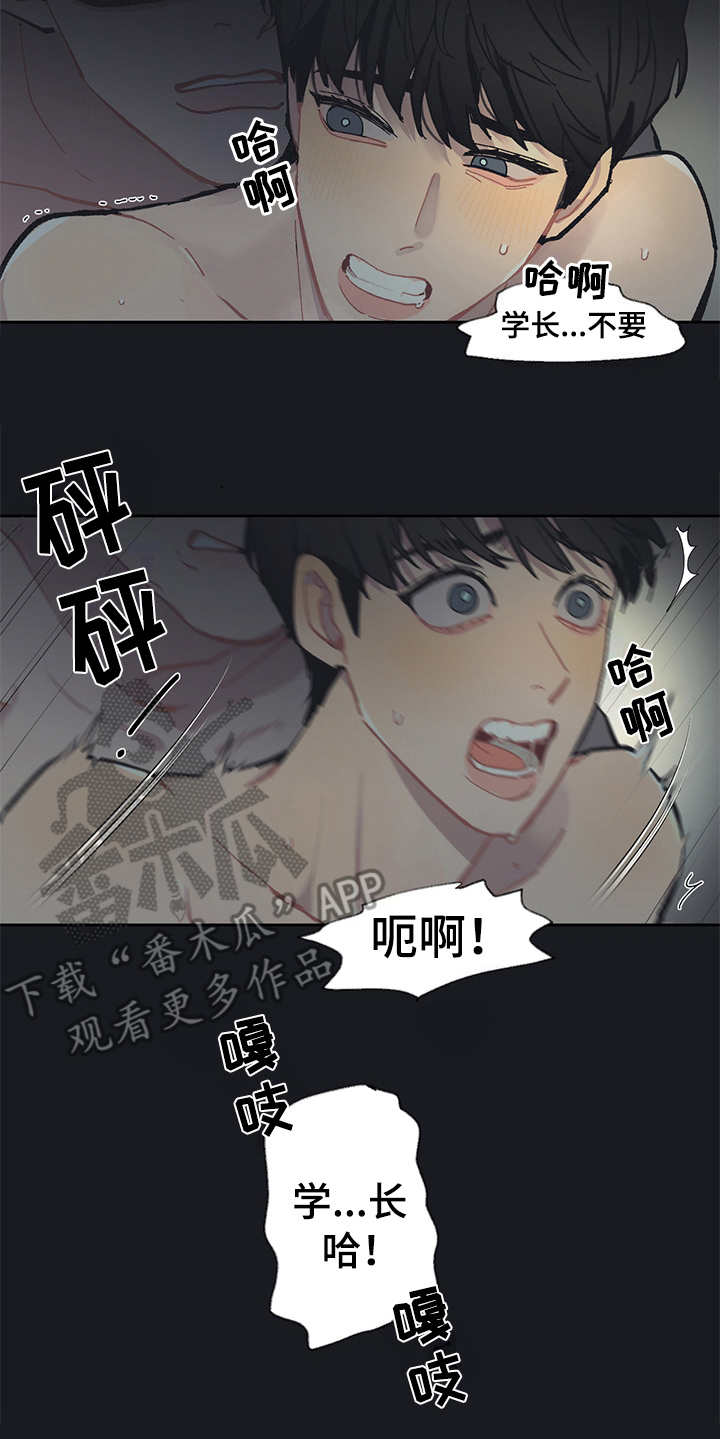 第19章：毒蛇5
