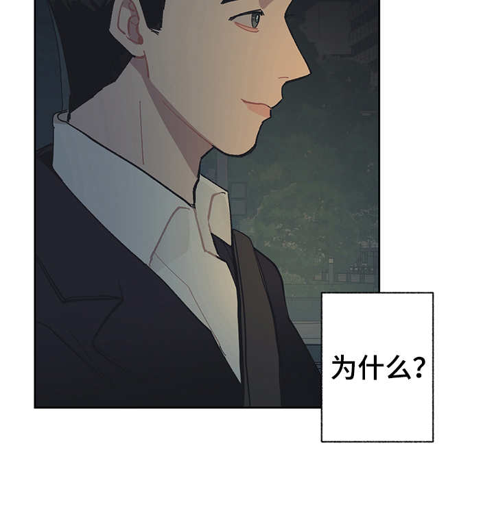 第23章：调查20