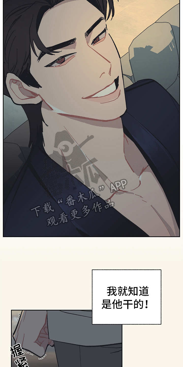 第13章：VIP15