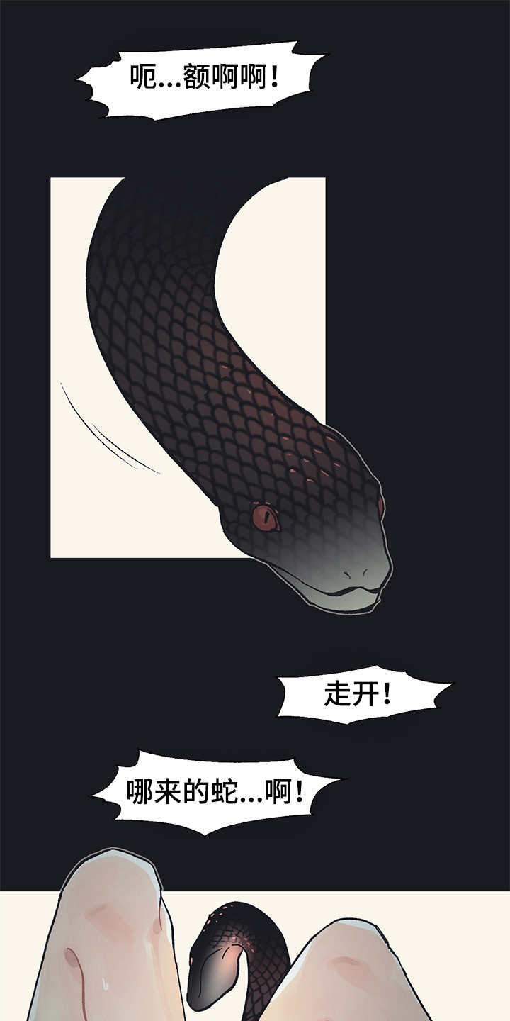 第19章：毒蛇10