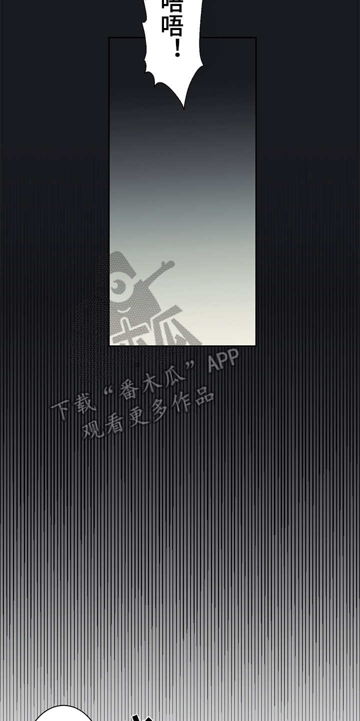 第19章：毒蛇14