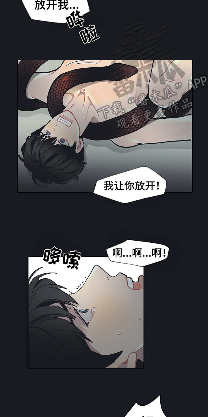 第19章：毒蛇12