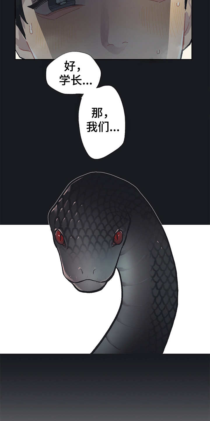 第19章：毒蛇7