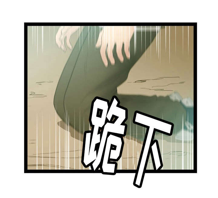 第12章：寻找13