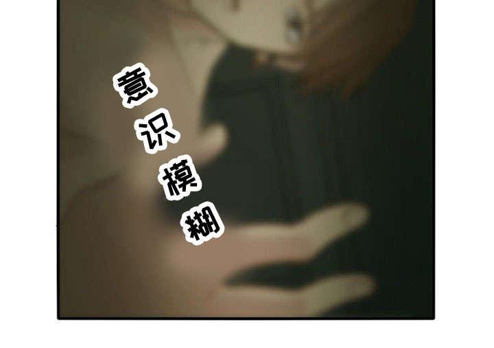 第40章：陷阱21