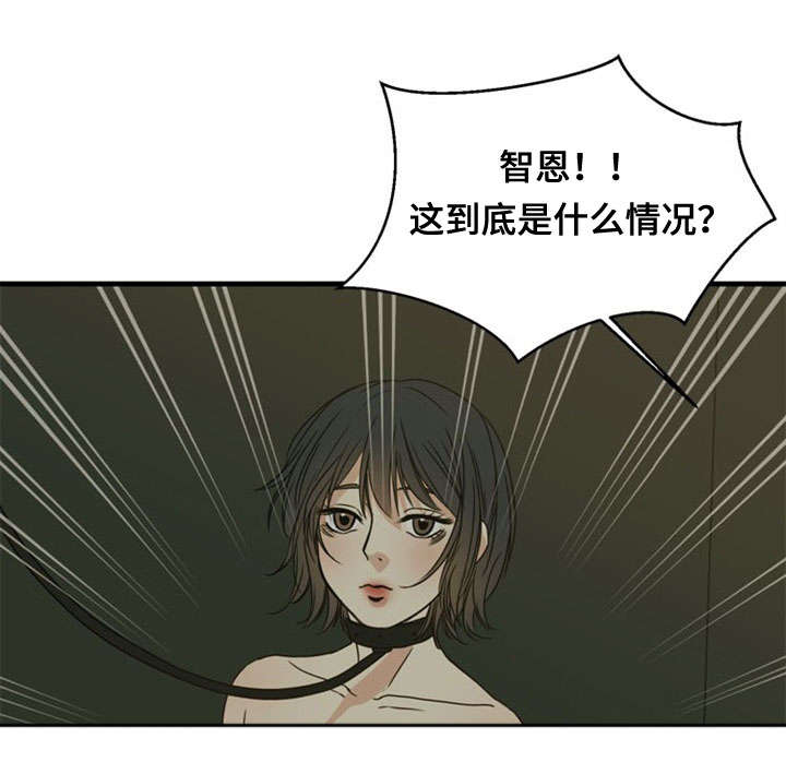 第41章：犹豫1