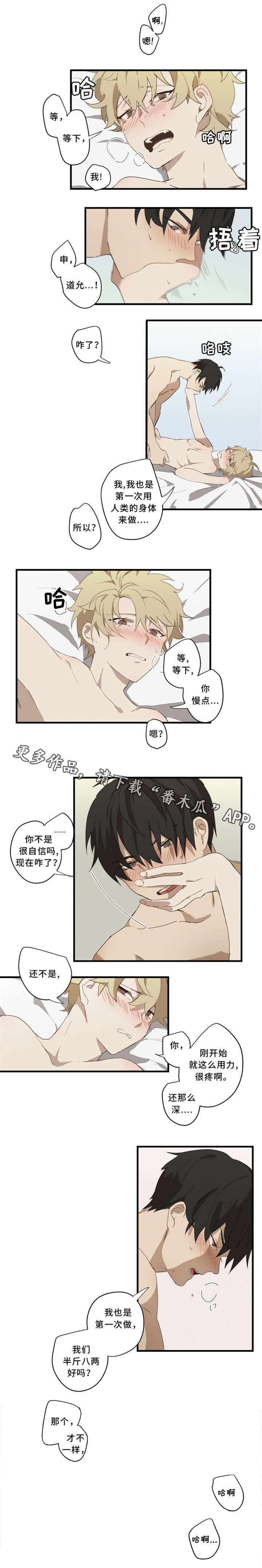 第6章：半斤八两2