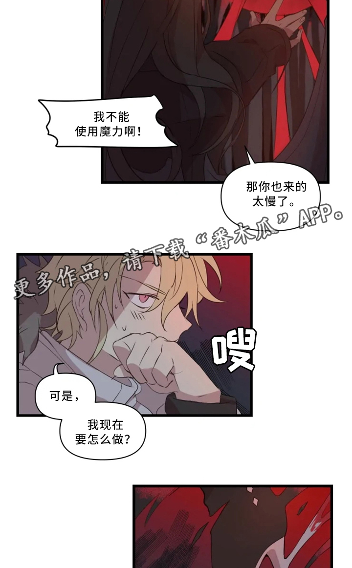 第33章：战斗准备12