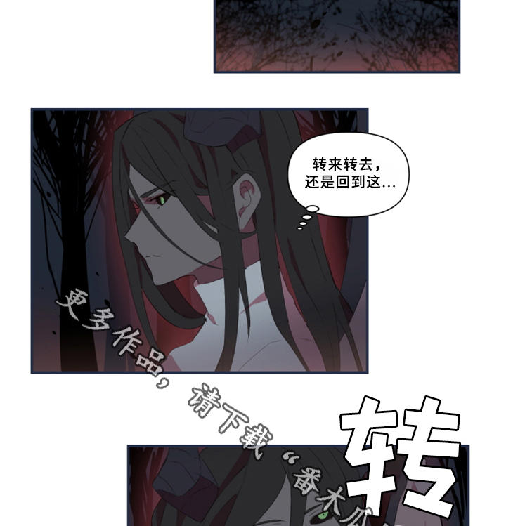 第28章：暴露19