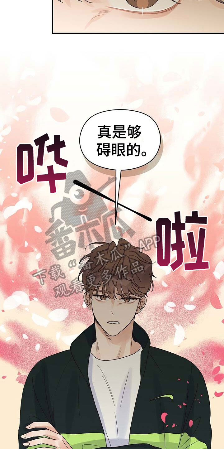第19章：碍眼17