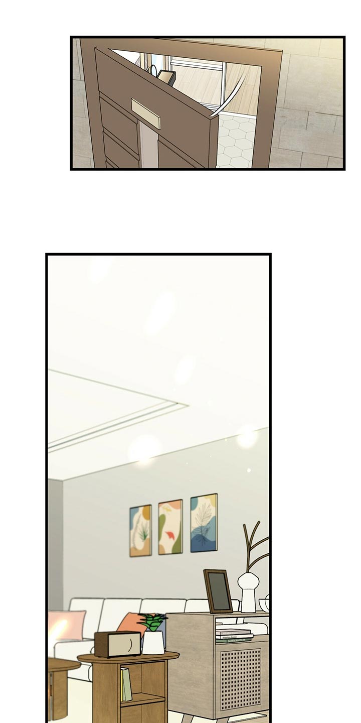 第51章：气味17