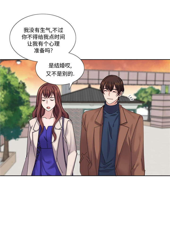 第41章：订婚27