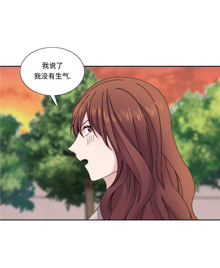 第41章：订婚29