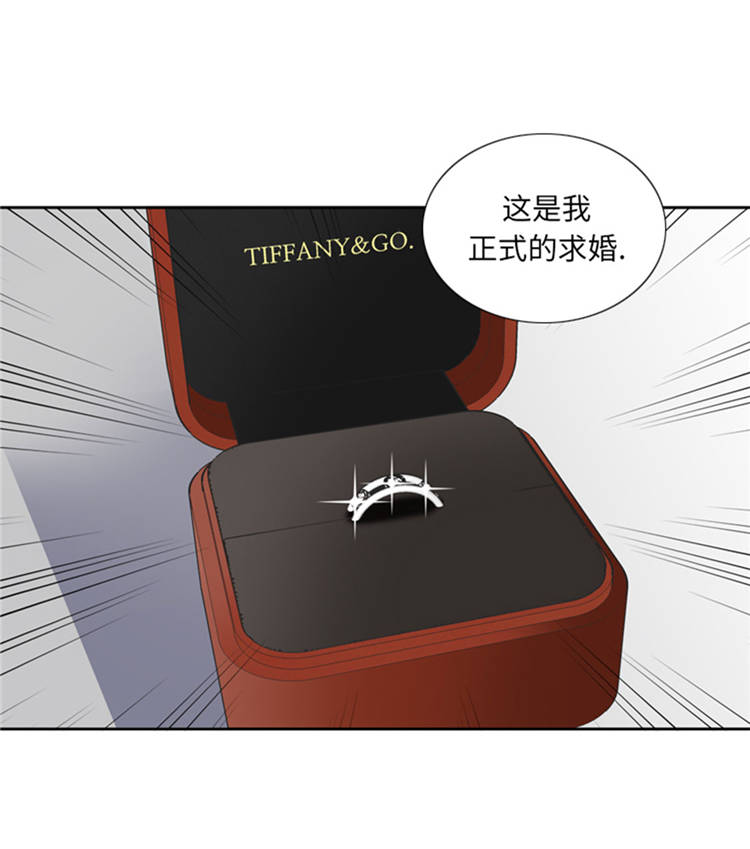 第42章：嫁给我35