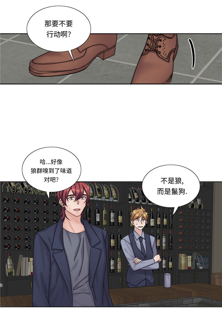 第61章：喝酒解千愁23