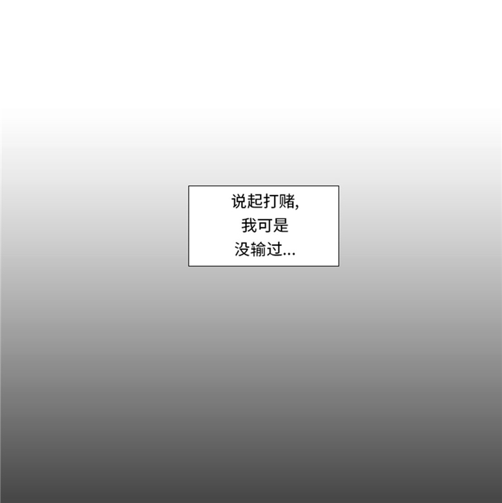 第62章：狮子出场14