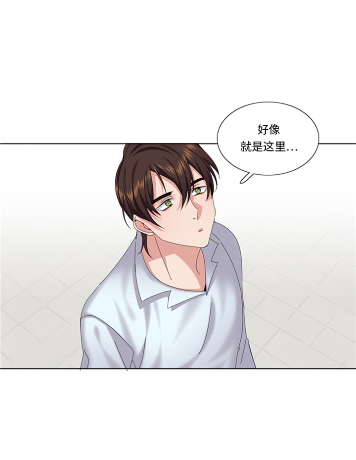 第86章：实情13