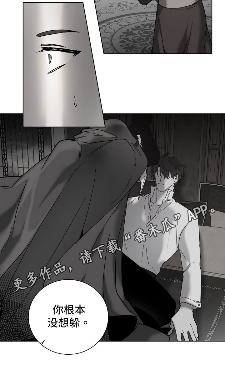 第28章：袭击17