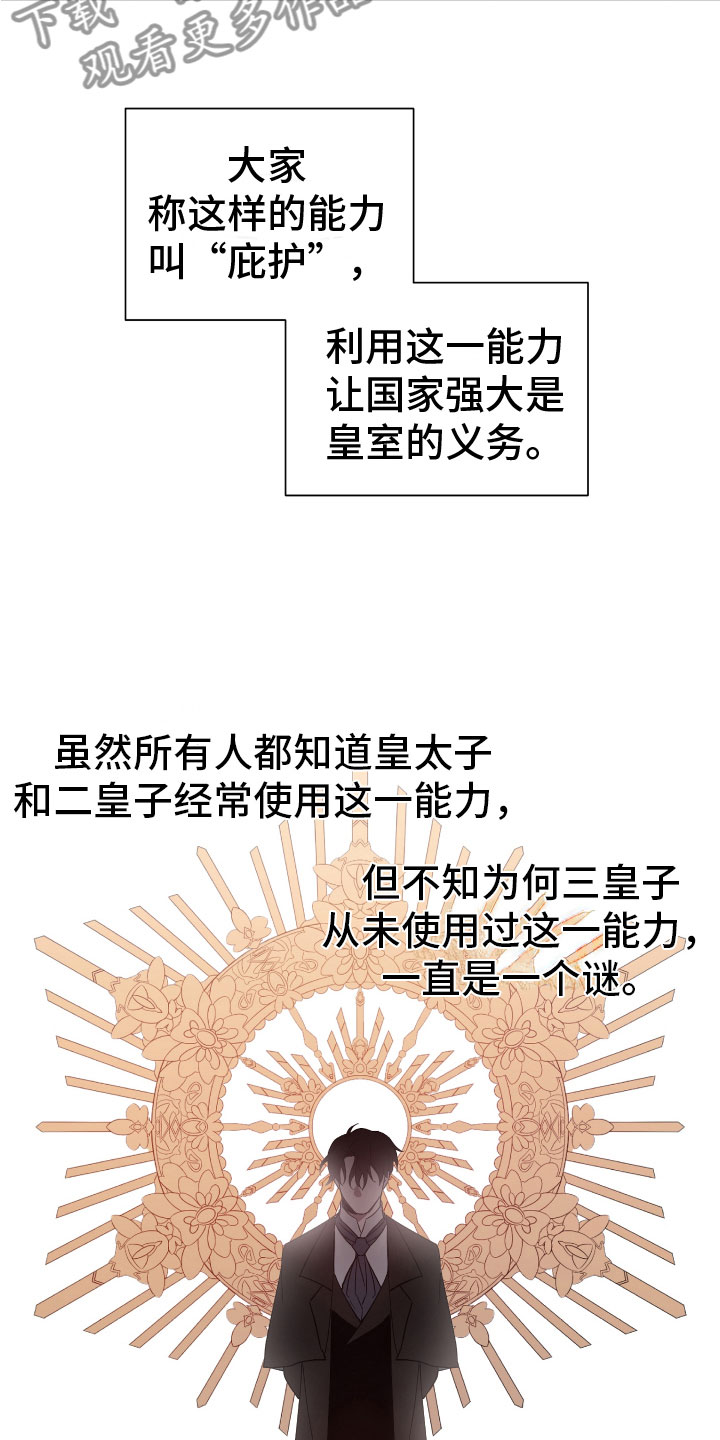 第8章：魔法治疗5