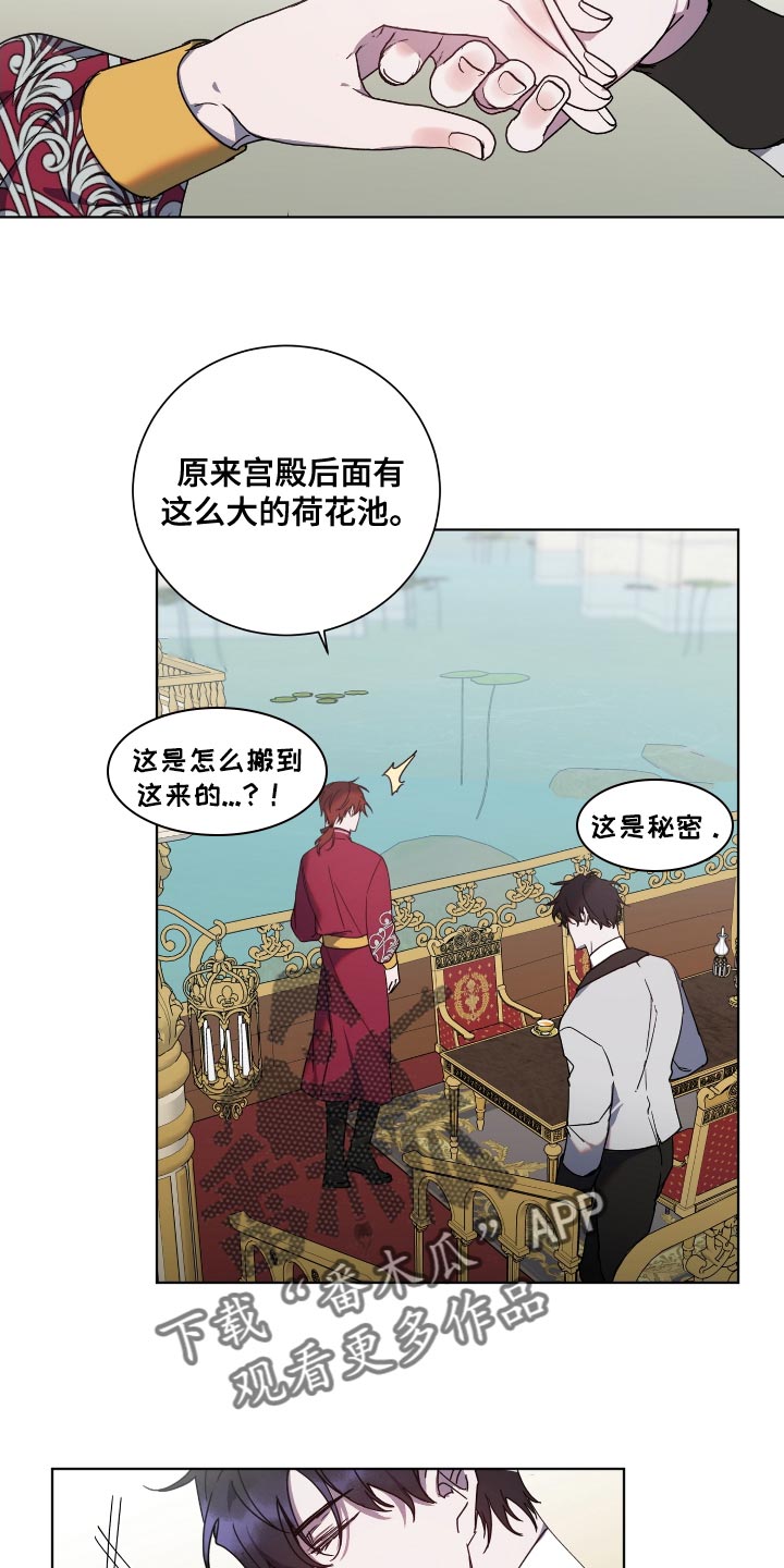 第18章：荷花池8