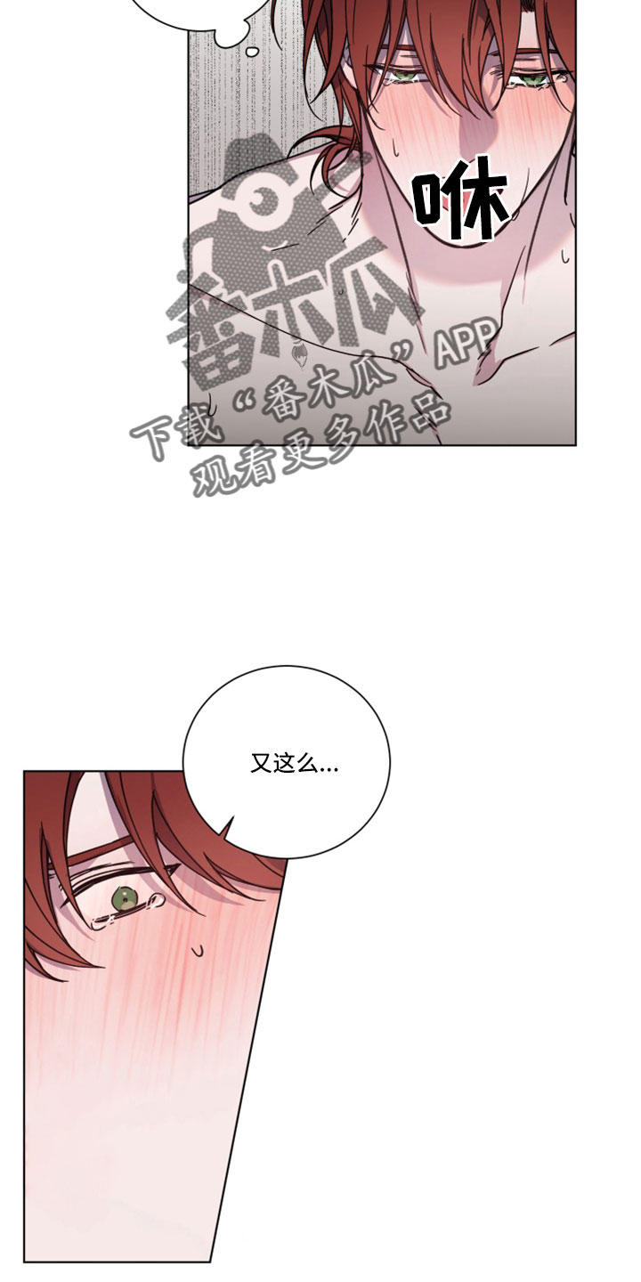 第41章：真好看8