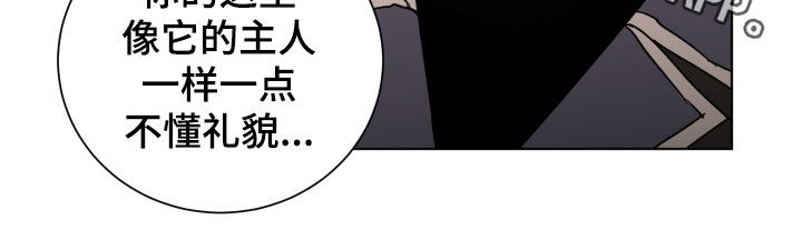 第32章：不懂礼貌14