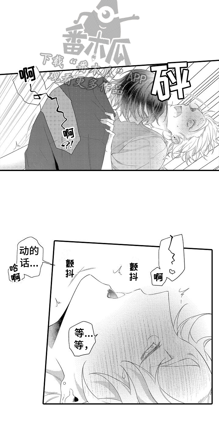 第12章：主动12