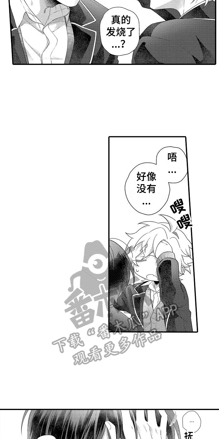 第17章：选择2