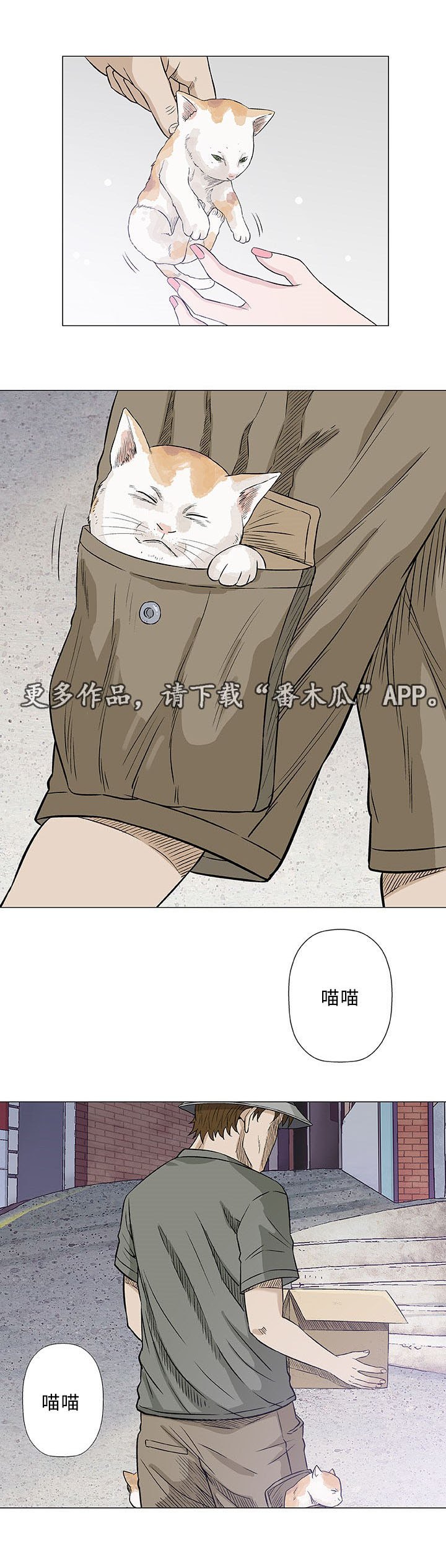 第28章：寻找24