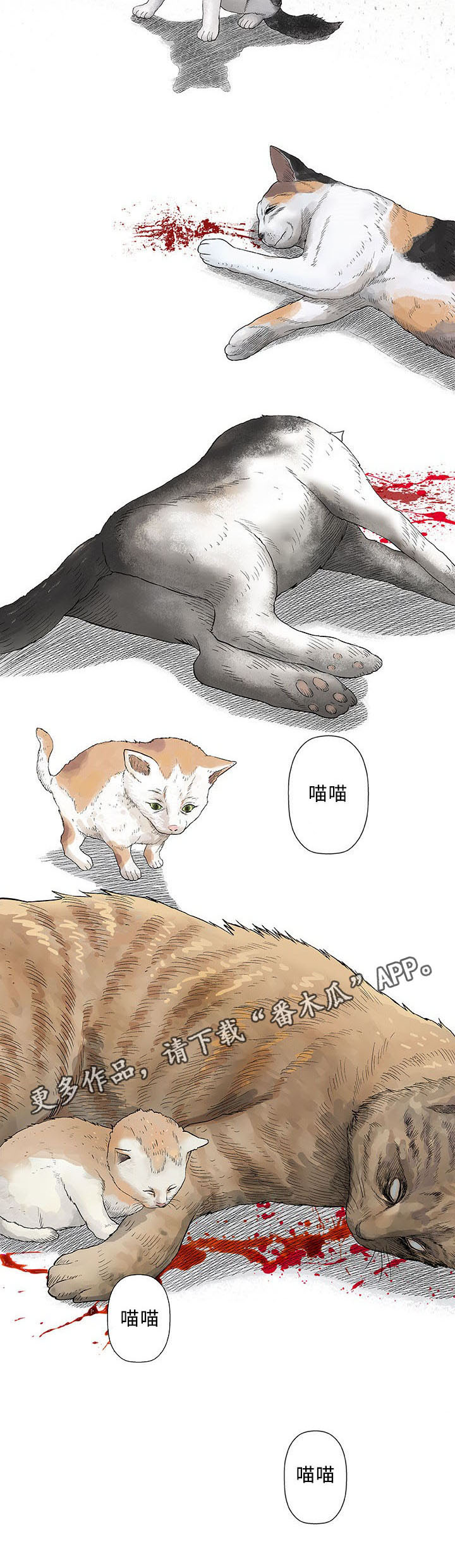 第28章：寻找3