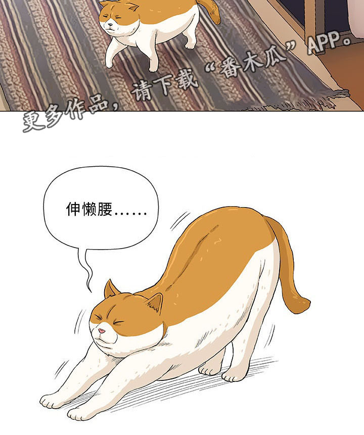 第15章：治疗23