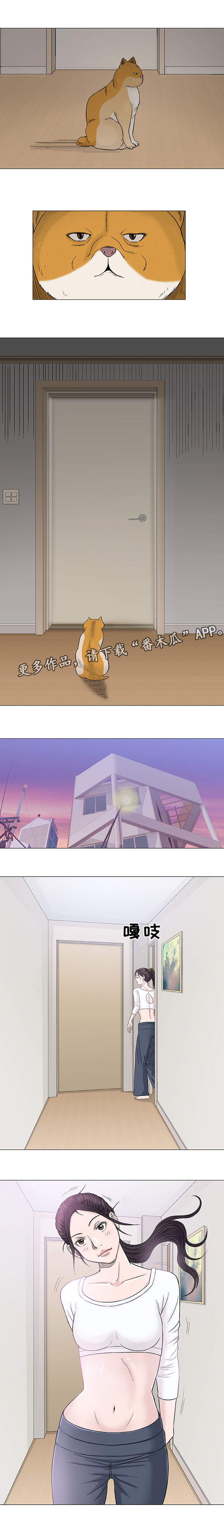 第19章：海滩11