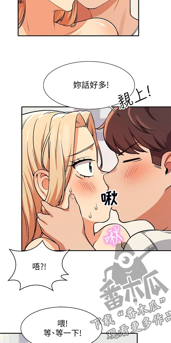 第30章：替代品17