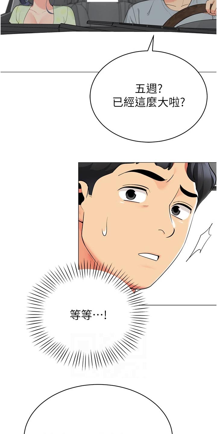 第65章：怀孕11