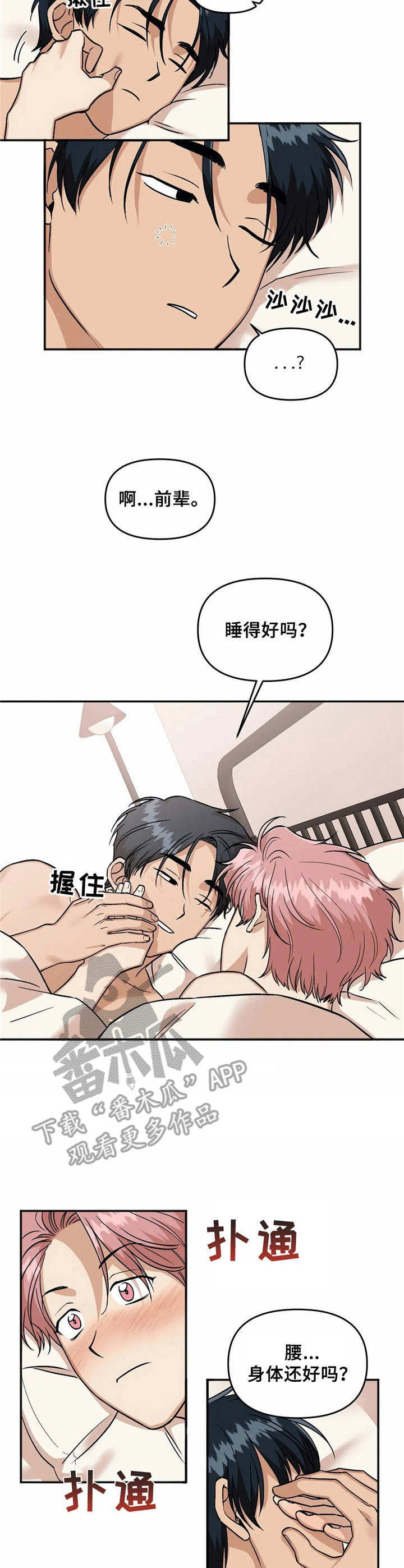 第28章：提议8