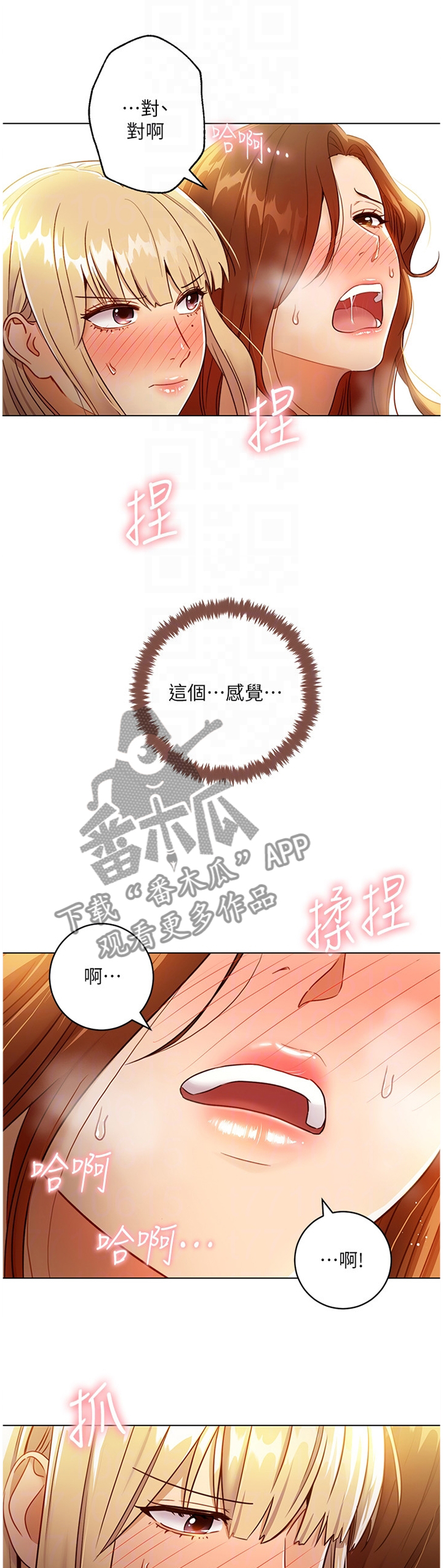 第80章：解放0