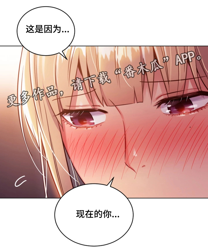 第19章：命令7