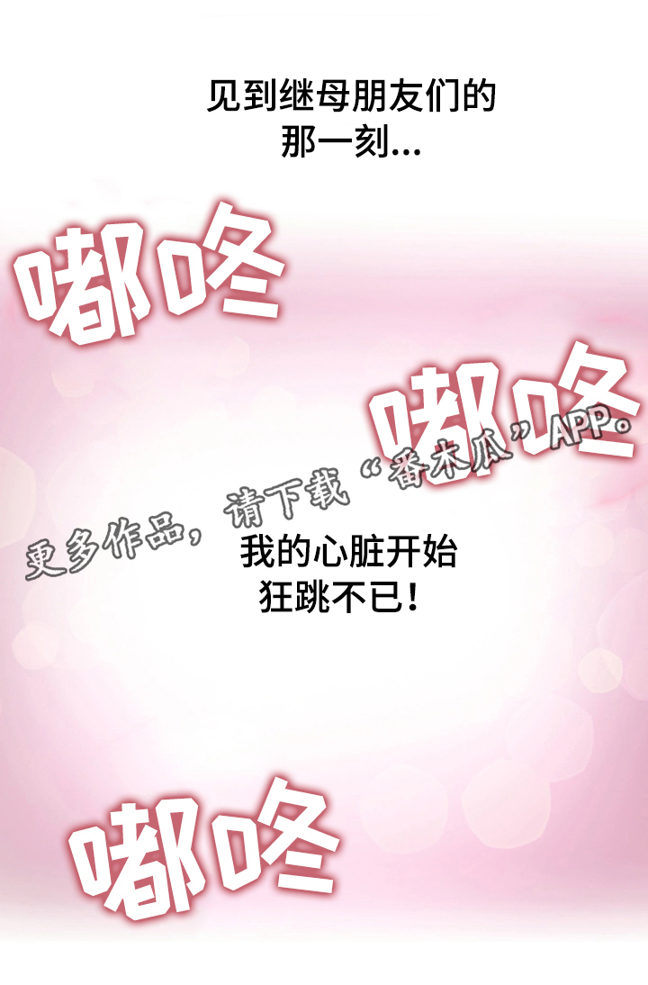 第4章：介绍21