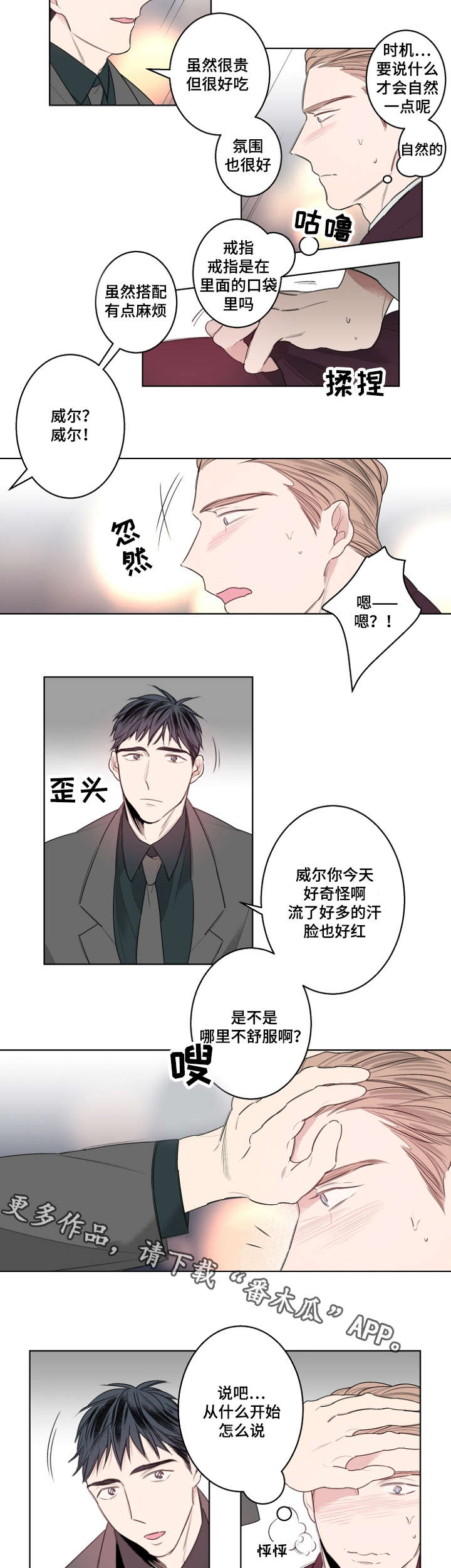 第27章：我们结婚吧3
